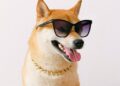 Dogecoin To $1.35? Analyst Predicts Milestone ‘Within 70 Days’
