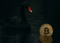 Bitcoin Faces A Black Swan — Bitwise Sounds The Alarm